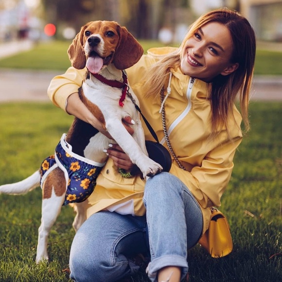 Lot Of 2 Female Dog Diapers And‎ 1 Sanitary Diaper 2 Small And 1 XS See Pictures - Picture 7 of 16